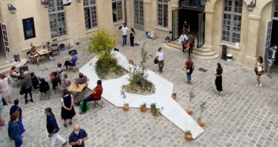 PDW- Flora urbanica à l’Hôtel de Coulanges (75)