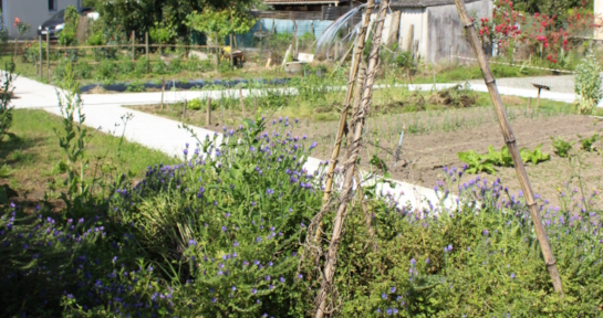 CRE – Jardin public Vigneau