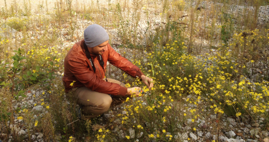 ENU – Les Espaces de Nature Urbains